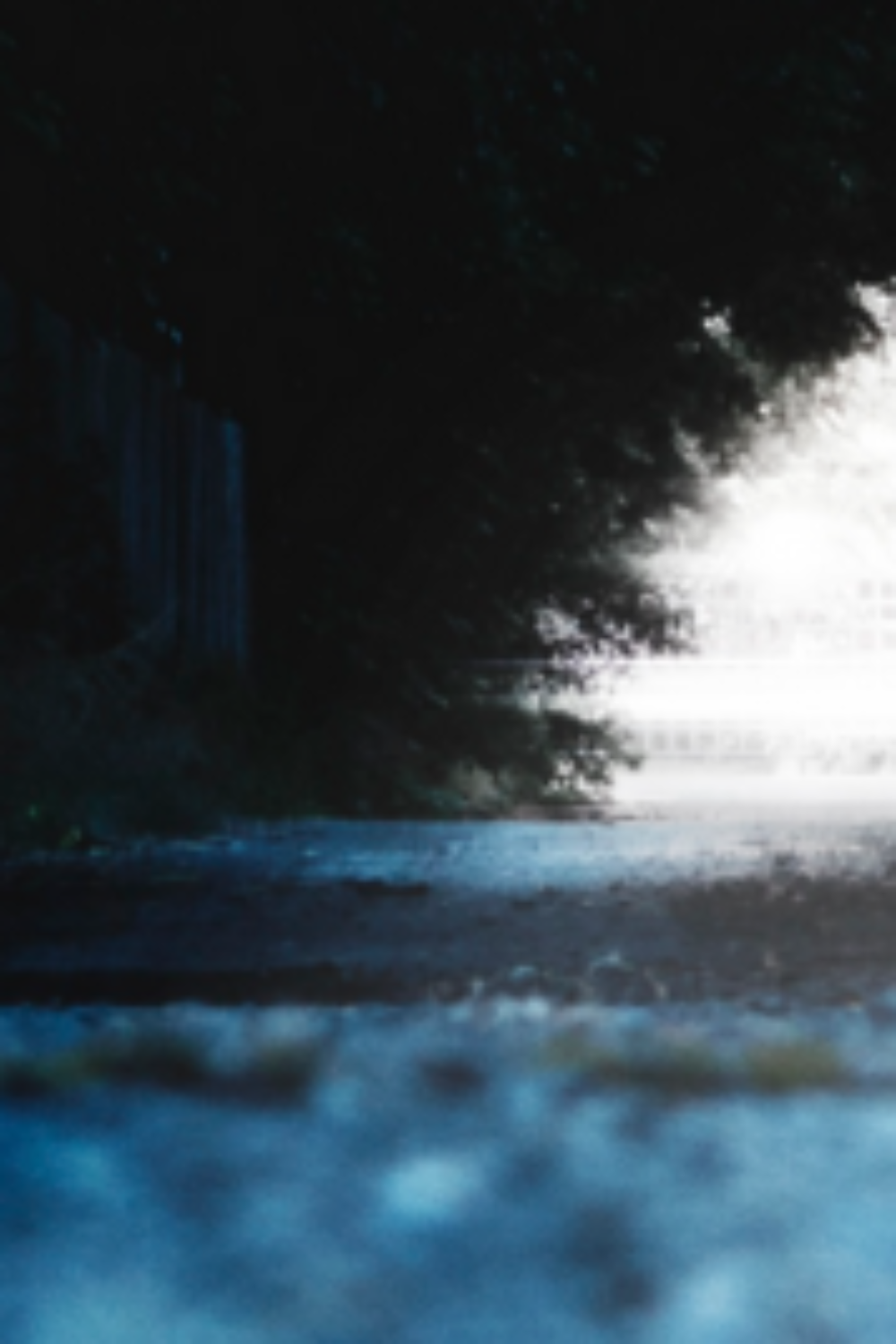 facing our shadow_flip