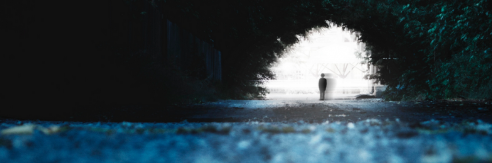 facing our shadow_flip