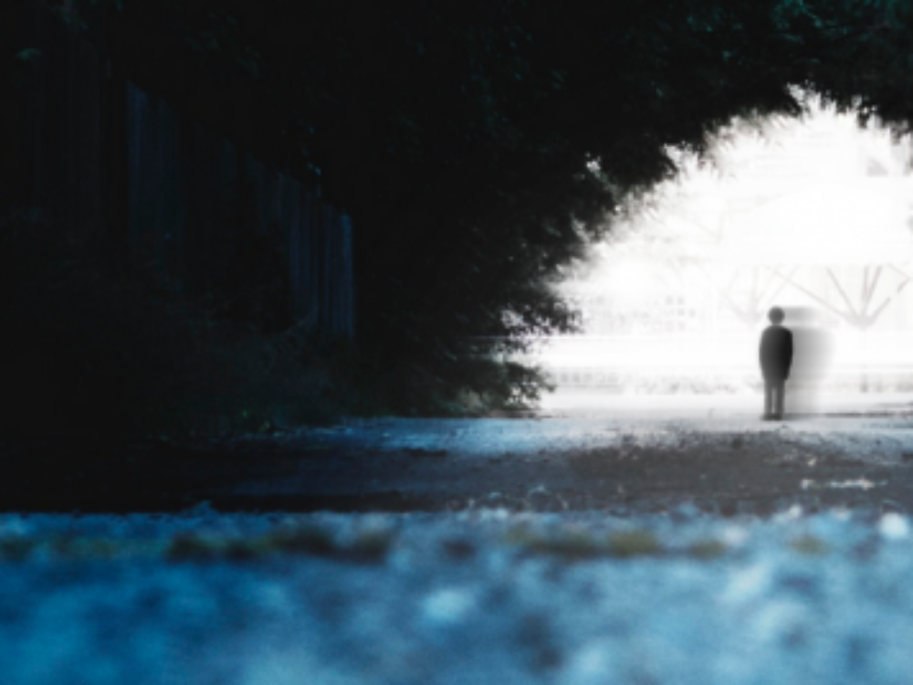 facing our shadow_flip
