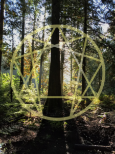 daytime_enneagram