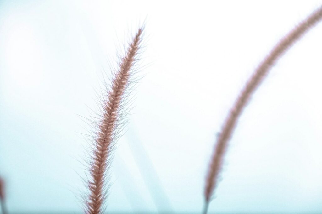 qtq80-JL2Z7K